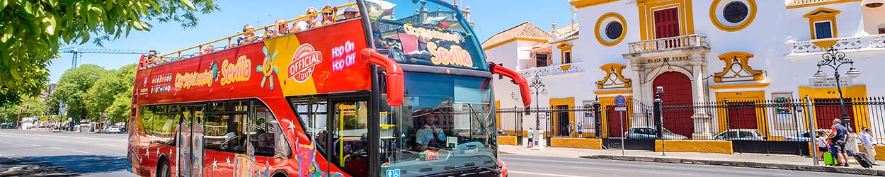 City Sightseeing Experience