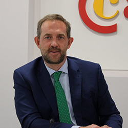 Fernando Valdés